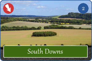 South Downs in Hampshire