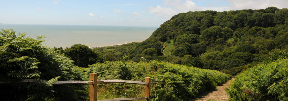 East Hill Country Park in Hastings