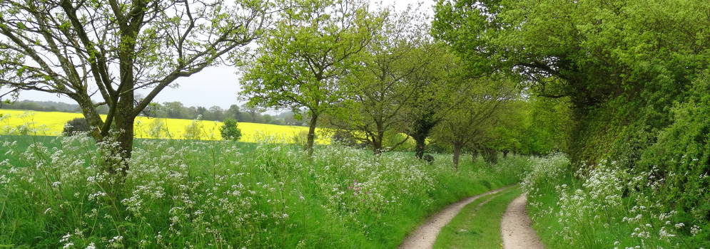 Wandelpad naar Northrepps in Norfolk, Engeland