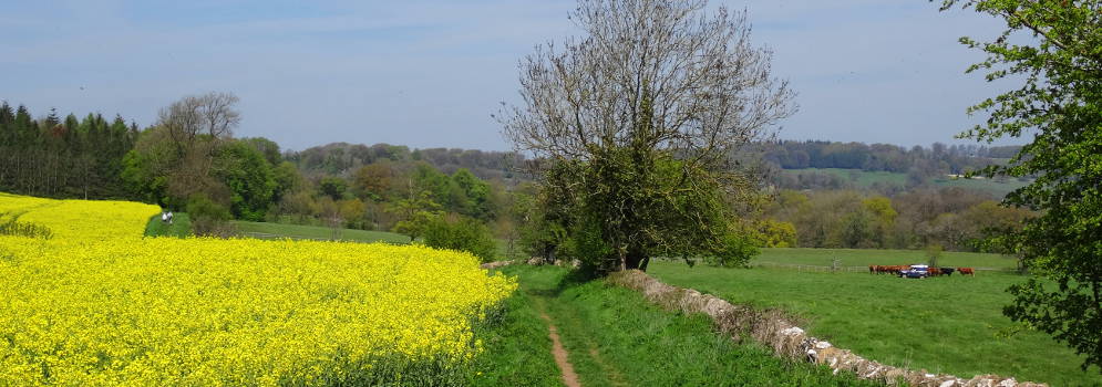Landschap bij het Sezincourt Estate in de Cotswolds, Engeland