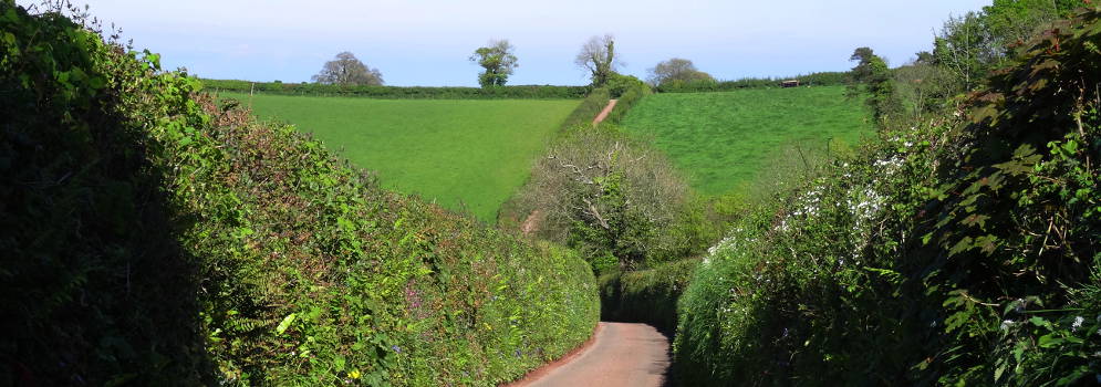 Landweg in South Devon, Engeland