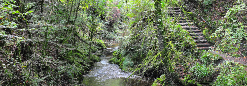 Lydford Gorge in Dartmoor, Devon